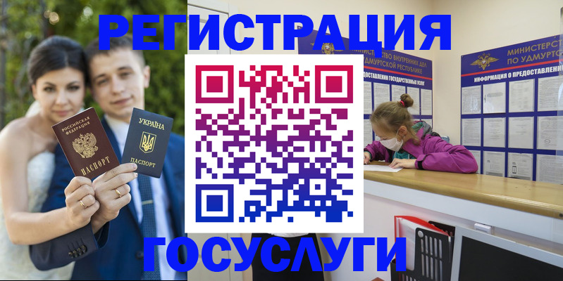 прописка поиск в Шадринске